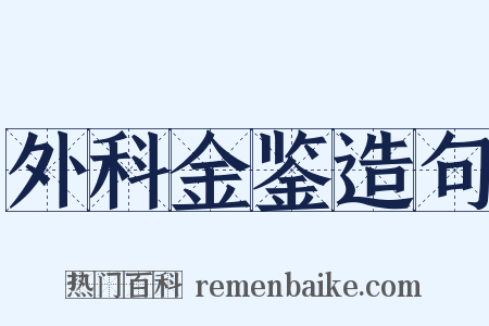 外科金鉴造句是什么意思的图片